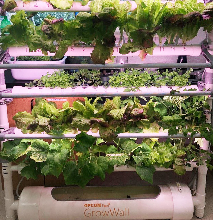 Metzler’s Ebb & Flow Hydroponic Grow Wall
